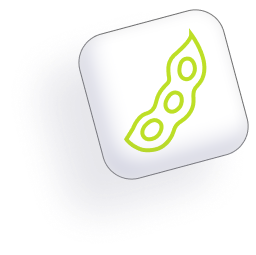 image report